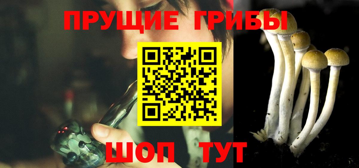 Краснодар  закладки  Псилоцибиновые грибы мухоморы  Вход с VPN  Галлюциногенные грибы MAGIC MUSHROOMS 